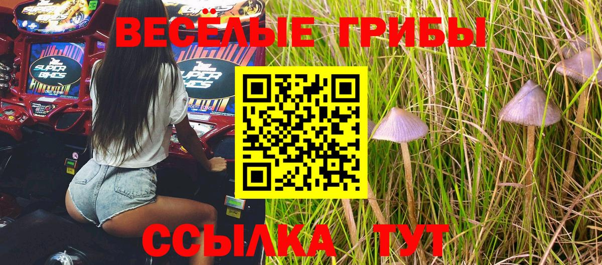 Ахтубинск  Псилоцибиновые грибы GOLDEN TEACHER  как найти закладки  Вход с VPN 